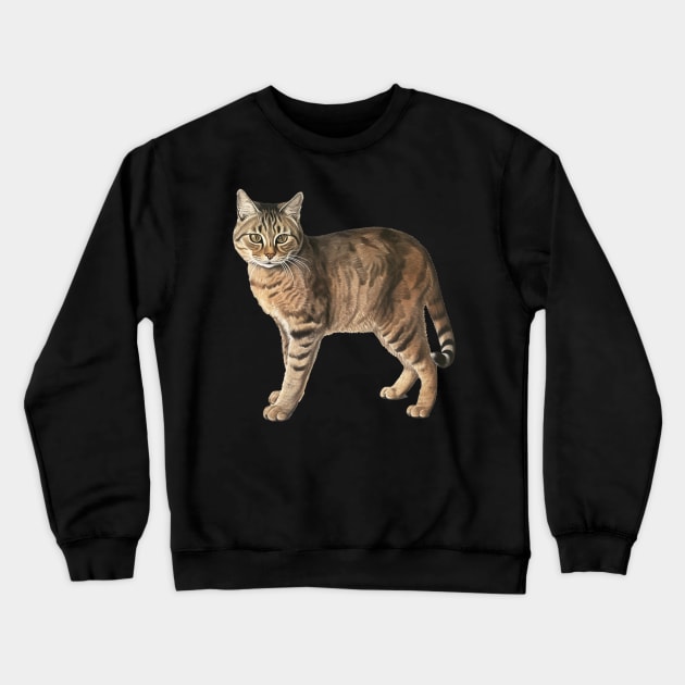 Tiger Cat Art, Love Cats Crewneck Sweatshirt by dukito